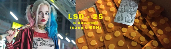 шишки Осташков