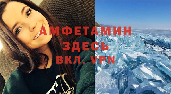 ПСИЛОЦИБИНОВЫЕ ГРИБЫ Лихославль