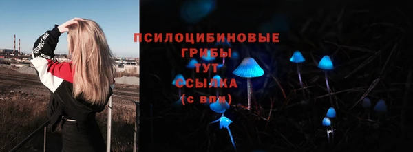 индика Остров