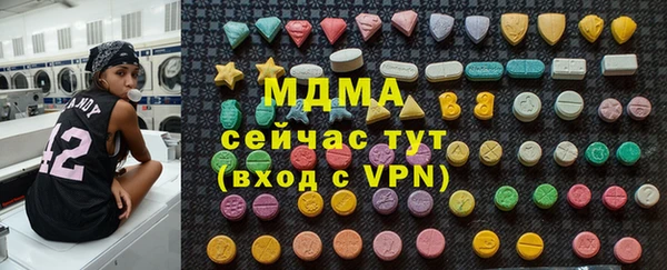 шишки Осташков