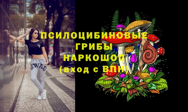индика Остров