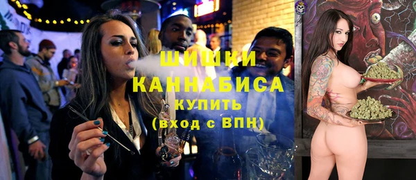 шишки Осташков