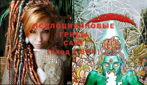 индика Остров