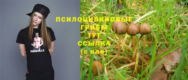 индика Остров