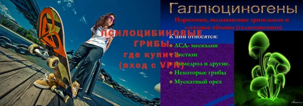 шишки Осташков