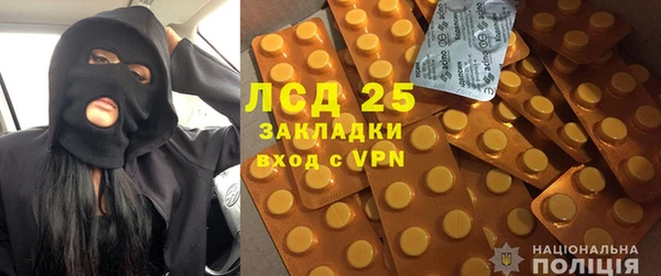 шишки Осташков