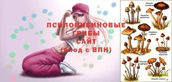 амфетамин Осинники
