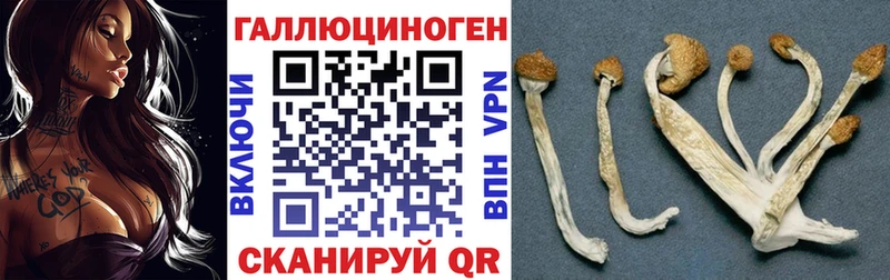 Галлюциногенные грибы прущие грибы  Боровск 